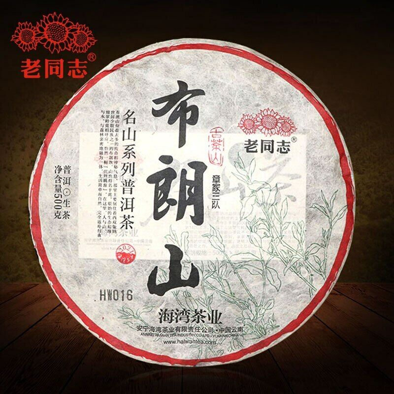 HelloYoung Haiwan Zhang Jia San Dui Raw Puer Tea Bulang Mountain Sheng Puerh 500g Main image