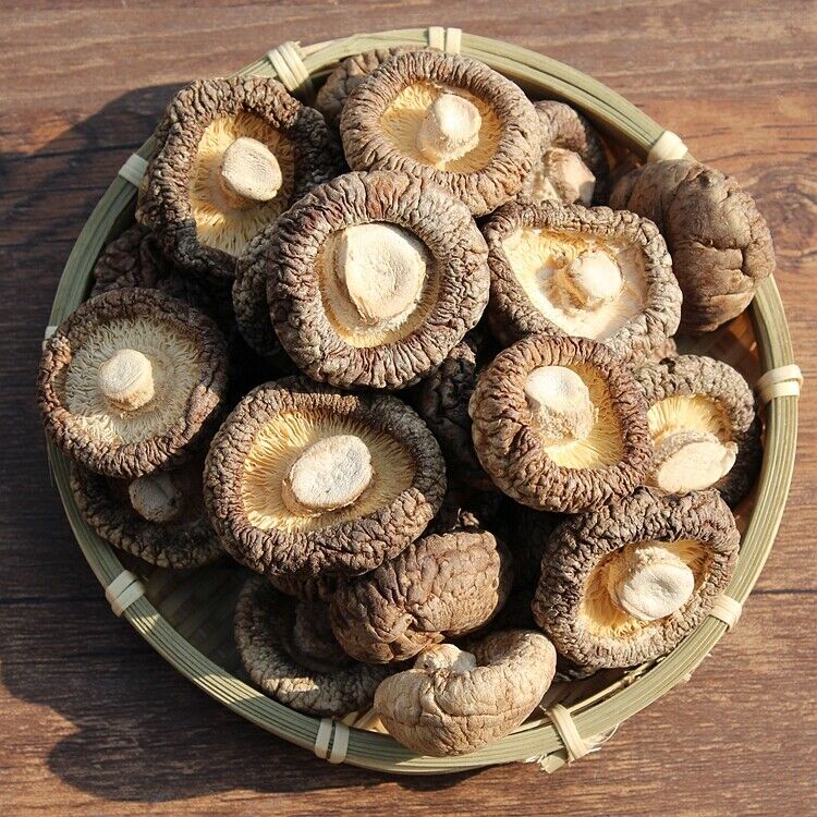 HelloYoung Dried Shiitake Mushrooms Wooden Organic Kitchen Health Green Food Natural Fungus