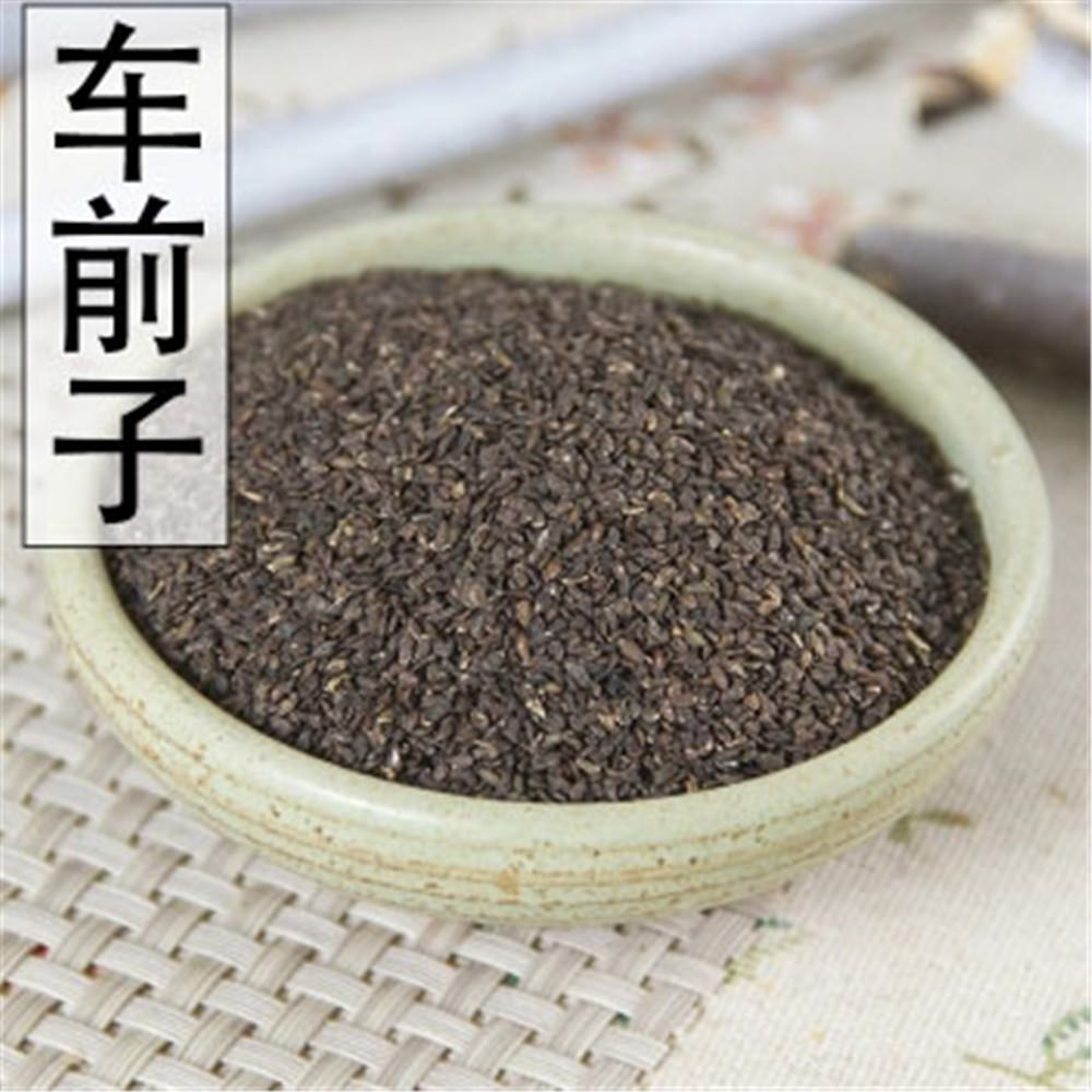 100% Natural Plantago Asiatica Seed 车前子 Che Qian Zi Plantain Seed Psyllium Seed Main image