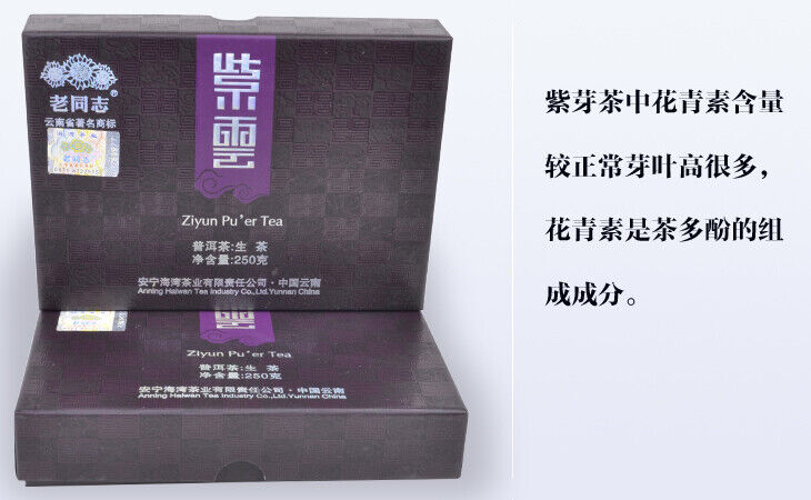HelloYoung Purple Bud Ziyun Pu'er Tea * Haiwan Old Comrade Puer Pu Erh Brick Raw 250g