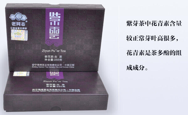 HelloYoung Purple Bud Ziyun Pu'er Tea * Haiwan Old Comrade Puer Pu Erh Brick Raw 250g
