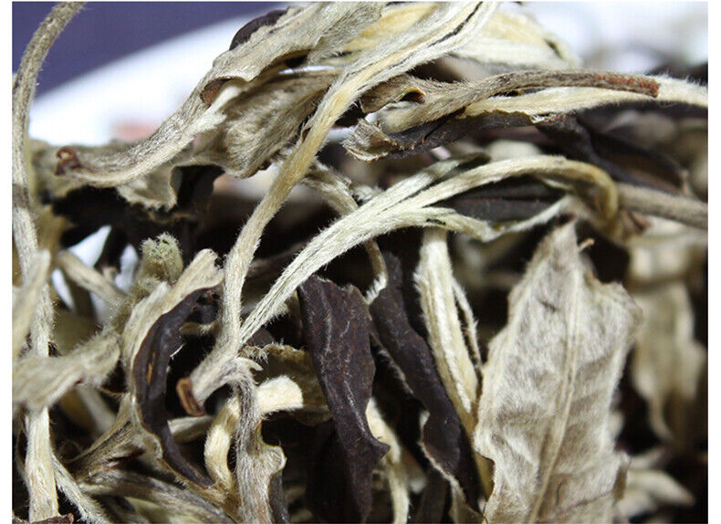 HelloYoung Yunnan Jing Gu Puer Moonlight White Buds Pu'er Puerh Loose Tea Raw 100g/3.52oz