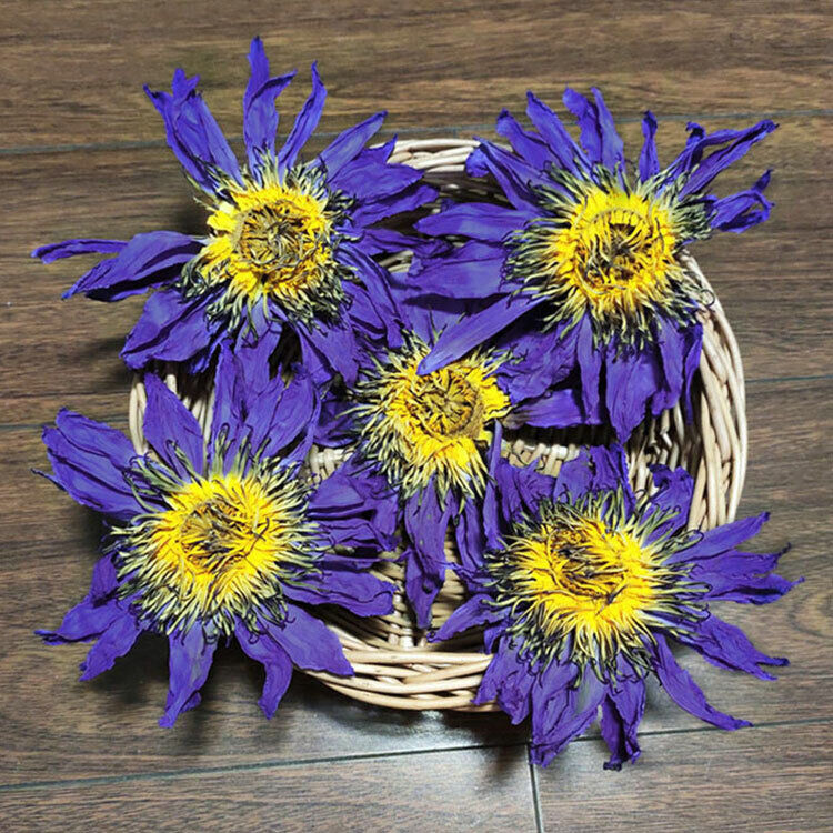 HelloYoung 100g Dried Loose Blue Lotus Flower Herbal Tea Nymphaea Caerulea Savigny