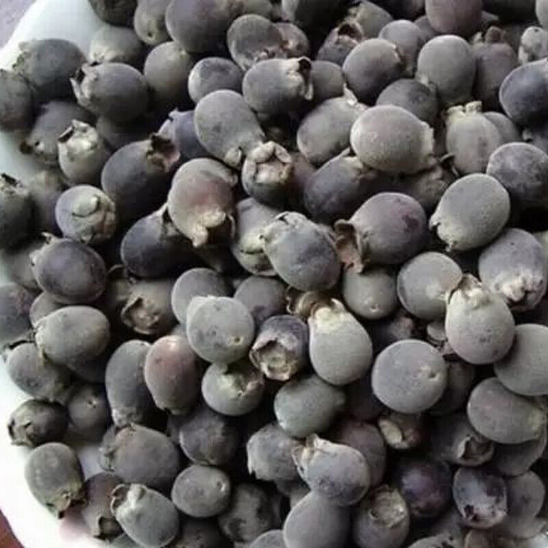 HelloYoung 250/500g Dried Rhodomyrtus Tomentosa Fruit, Dried Herbal Tea Renzi Tea Jinxiang Main image
