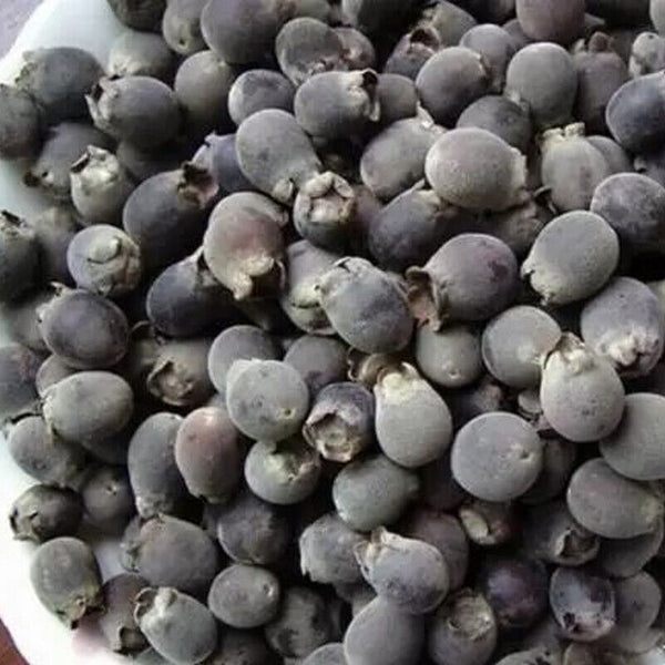 HelloYoung 250/500g Dried Rhodomyrtus Tomentosa Fruit, Dried Herbal Tea Renzi Tea Jinxiang