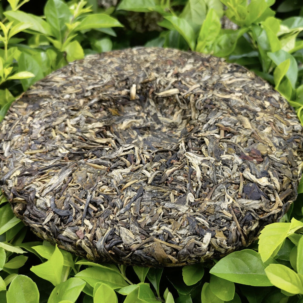 HelloYoung Puerh Sheng Tea Pu'er Green Tea 357g Menghai Pu-erh Tea Cake Xigui Old Tree