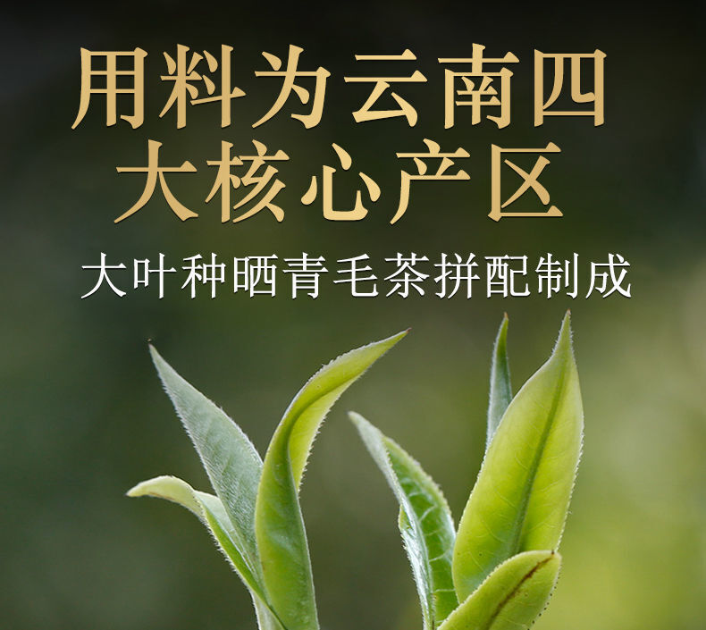 HelloYoung Dali Tuocha * Xiaguan Tuo Cha Shen Pu-erh Raw Pu'er Tea Puer Tea 100g Box