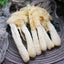 Phallus Indusiatus, Stinkhorn Fungus, Bamboo Fungus, 竹荪 Zhu Sun