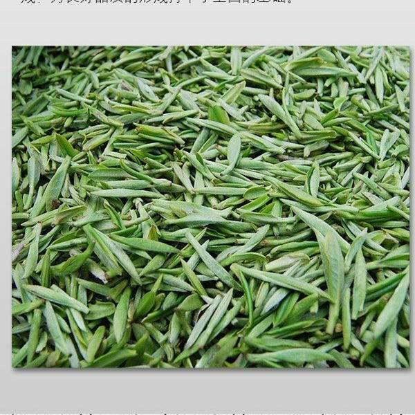 HelloYoung Haiwan Batch 171 Old Comrade 7548 Pu-erh Tea Cake Sheng Puer Raw Pu'er 357g