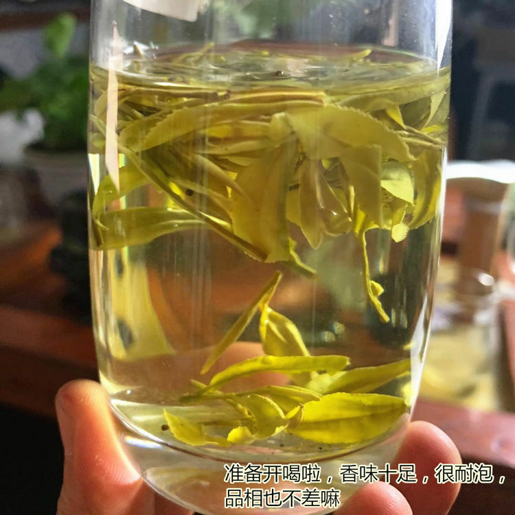 HelloYoung Chinese Anji Jin Ya Green Tea An Ji Golden Buds Bai Cha