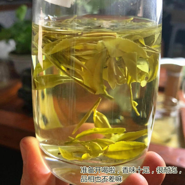 HelloYoung Chinese Anji Jin Ya Green Tea An Ji Golden Buds Bai Cha