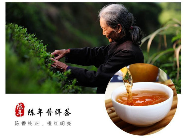 HelloYoung Premium Xinhui Green Orange Peel Chenpi Citrus Puer Pu'er Puerh Ripe Tea 100g