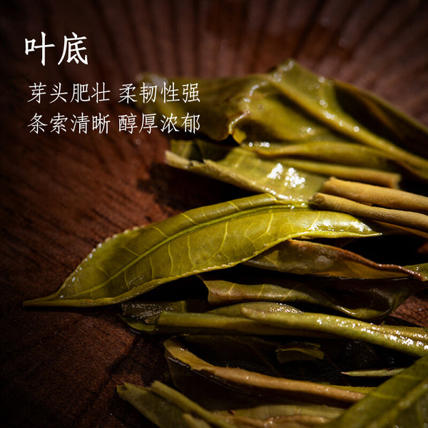 Valley Flowers Puer 2015 Mengku Rongshi Gu Hua Xiang Autumn Pu'er Tea Raw 200g