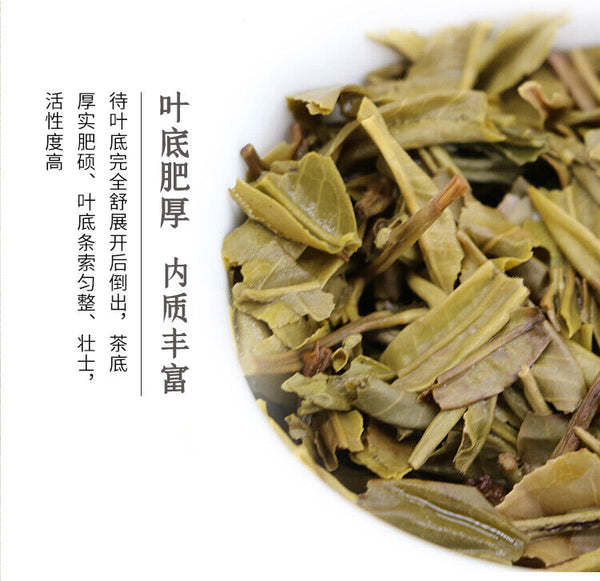 HelloYoung DAI XIANG TUO CHA Menghai Ba Jiao Ting Puer Raw Tea BuLang High Mount 250g