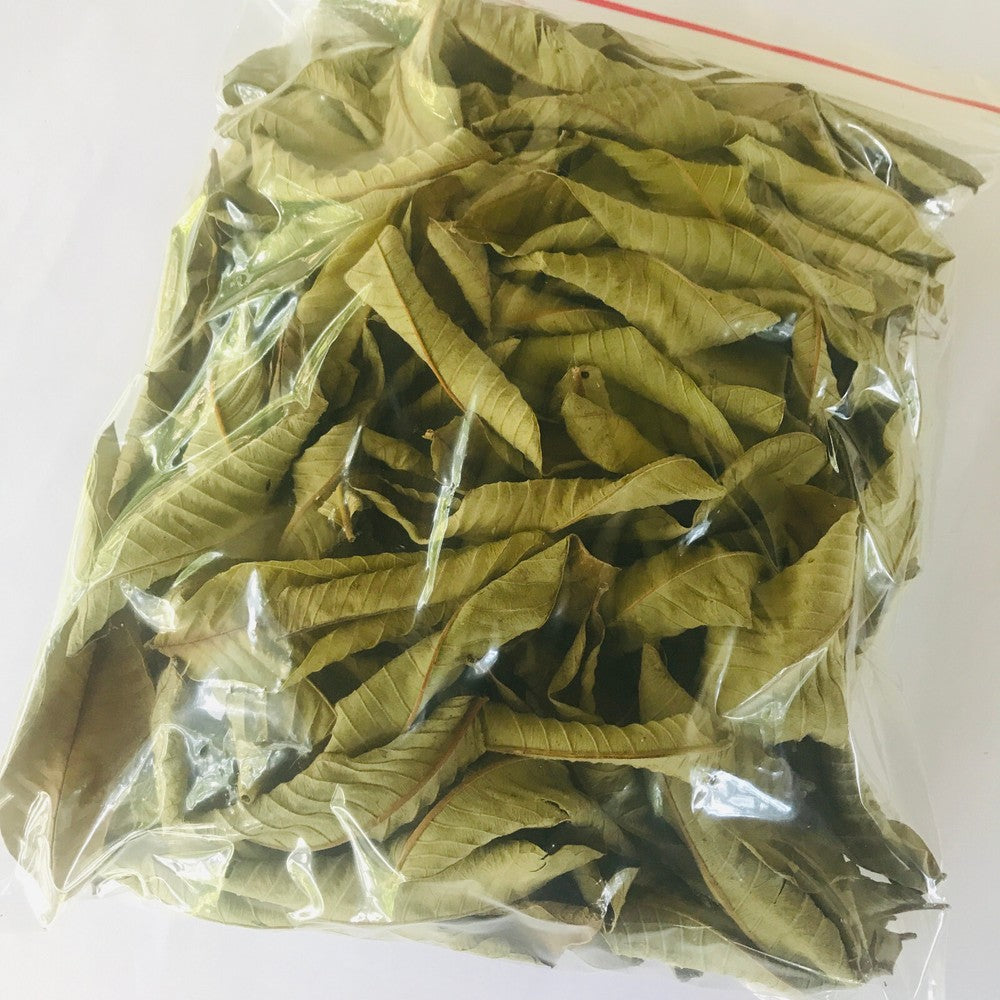 Premium Dried Guava Leaves Hojas De Guayaba Leaf 50 g-500 g