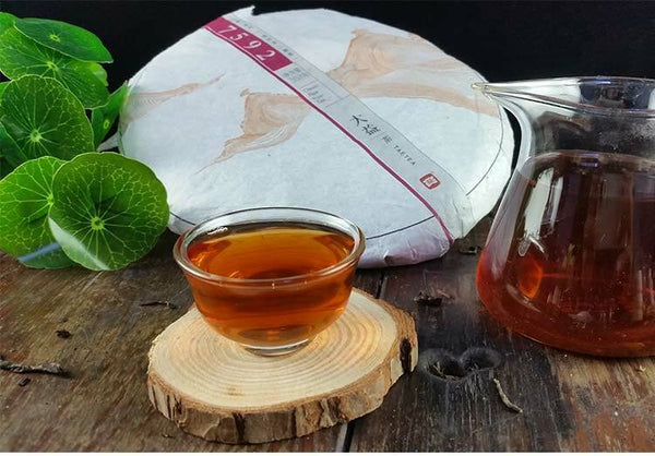 HelloYoung Yunnan Menghai Dayi 7592 1401 Chi Tse Beeng Ripe Shu Cooked Puer Pu Er Tea 357g