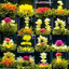 HelloYoung 16 Types Handmade Blooming Flower Tea Blooming Tea Balls Flowering Tea 130g
