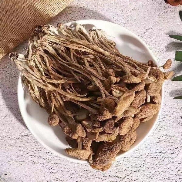 HelloYoung Natural Tea Tree Mushrooms agrocybe cylindracea Dried Mushrooms Kitchen Food 茶树菇
