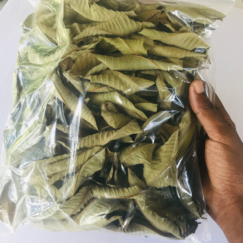 Premium Dried Guava Leaves Hojas De Guayaba Leaf 50 g-500 g