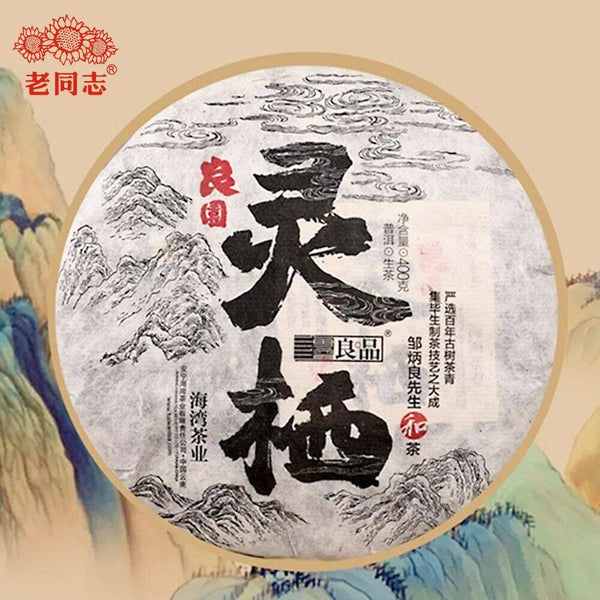 HelloYoung Haiwan The Gathering of Plant Spirit Raw Puer Excellent Shen Puerh Tea 400g