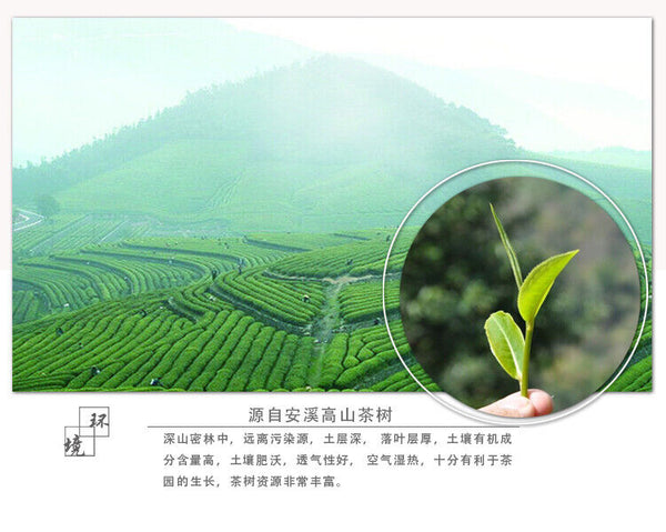 HelloYoung Strong Aroma Flavor Chinese Tieguanyin Oolong Tie Guan Yin Tea Iron Goddess