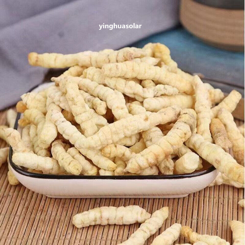 Organic Stachys Affinis Chinese Artichoke 초석잠 500g Insomnia Frequent Micturition Secondary image