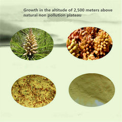 Wild Harvested Shell-broken Pine Pollen Powder 99% Crack Certificated 10bags*50g