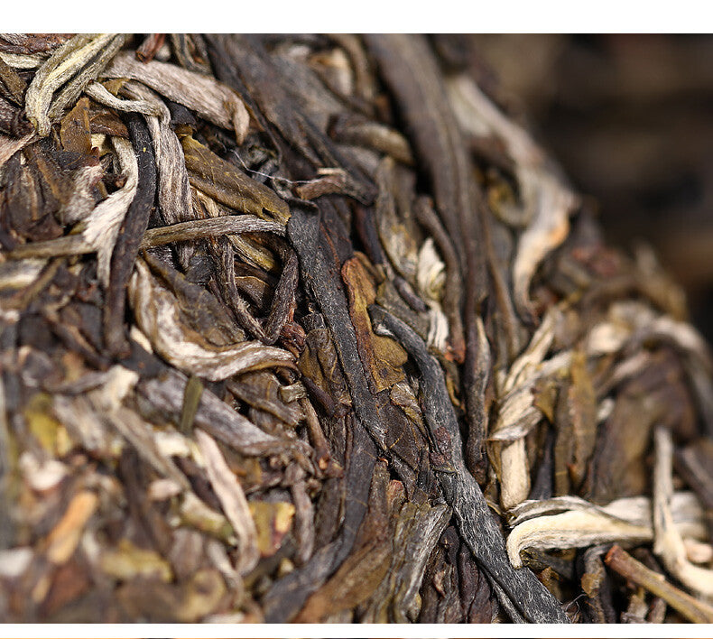 500g Bulang Famous Mountain Aged Tree Tea  Haiwan Zhang Jia San Dui Puer Raw Tea