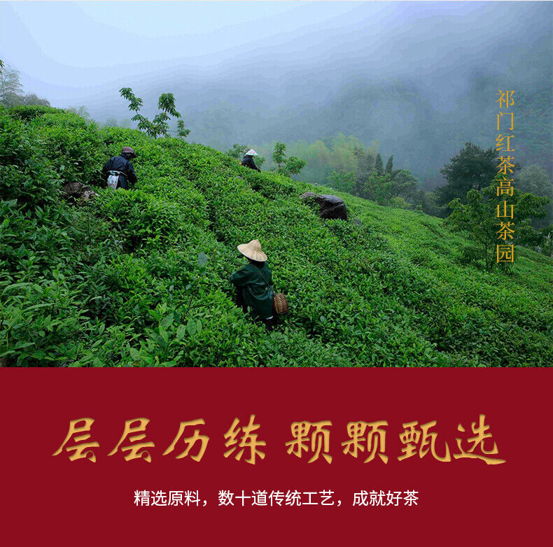 HelloYoung TeaChinese Keemun Black Tea 100g Anhui Premium Qimen Qi Men Gongfu Hong Cha