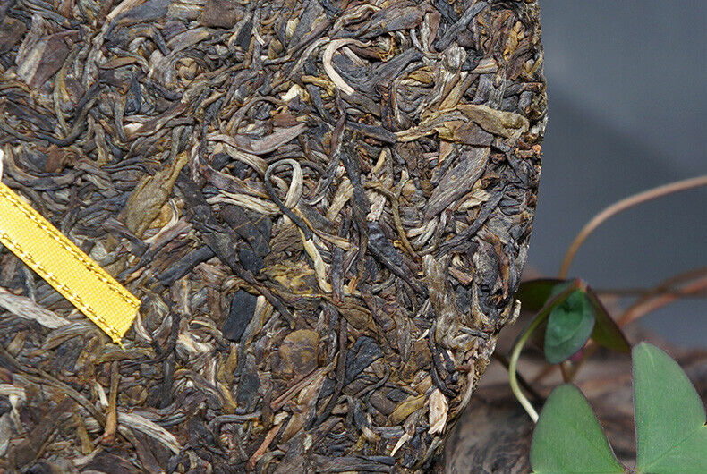 HelloYoung Shang Pin Golden Ribbon Big Snow Mountain * Xiaguan Puer Raw Puerh Tea 357g