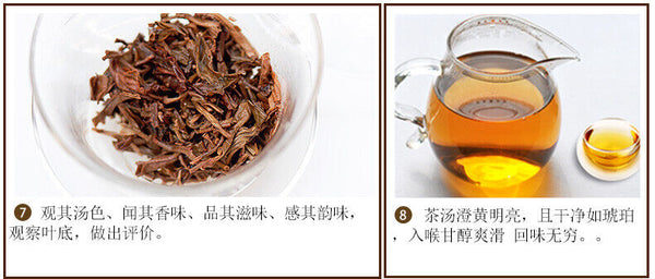 HelloYoung Hunan Junshan Huang Cha Jun Shan China Yellow Tea Mini Gold Coin Cake 30g Box