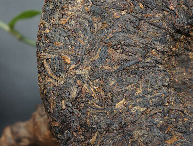 HelloYoung 15 Anniversary Chen Xiang * Lao Tong Zhi Haiwan Old Comrade Ripe Puer 357g