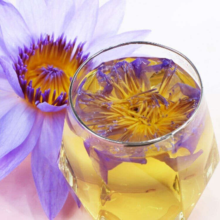 HelloYoung Dried Blue Lotus Flower Egyptian Lotus Natural Whole Flower Herbal Tea 50g