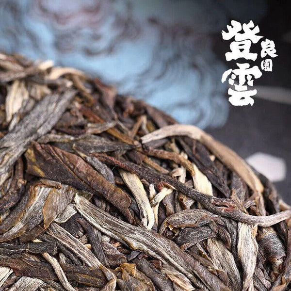 HelloYoung Haiwan Chinese Puer Tea Liang Yuan "Deng Yun" Old Tree Raw Puerh Pu'er 400g