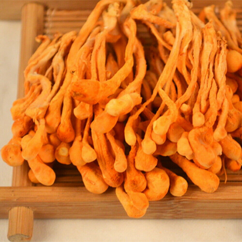 HelloYoung Pure Cordyceps Mushroom Powder Cordyceps Cordyceps Militaris Energy Enhancer Main image