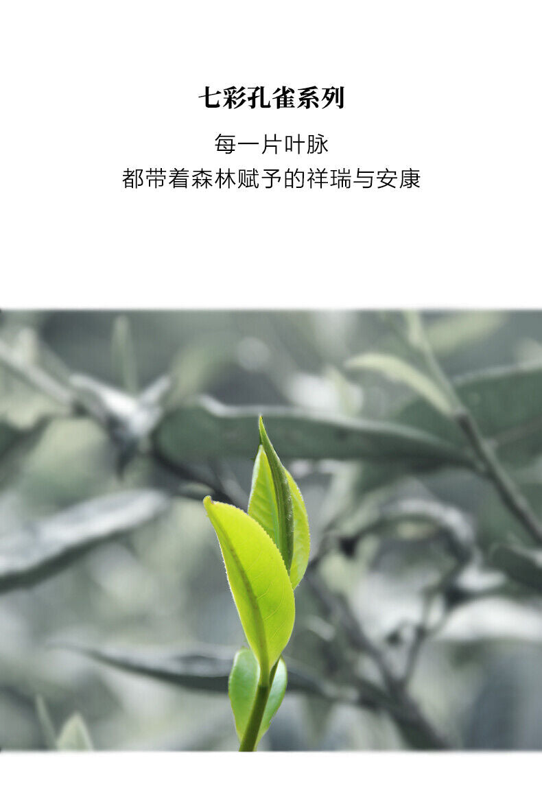HelloYoung KING OF PEACOCK Laotongzhi Pu'er Tea Raw Puerh YIWU Old Tree Puer Tea 400g