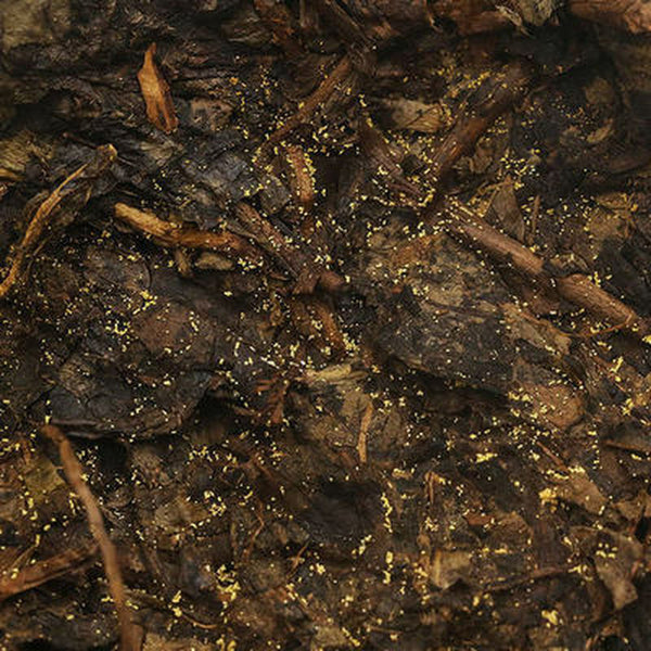 HelloYoung Hunan Anhua Black Tea Anhua Baishaxi 1953 Fucha Golden Flower Dark Tea 338g