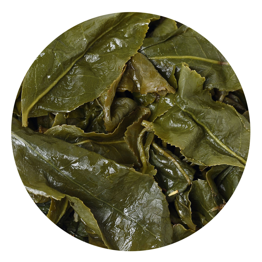HelloYoung HELLOYOUNG Premium Taiwan Milk Oolong Tea Jinxuan Alishan High Mountain Leaf