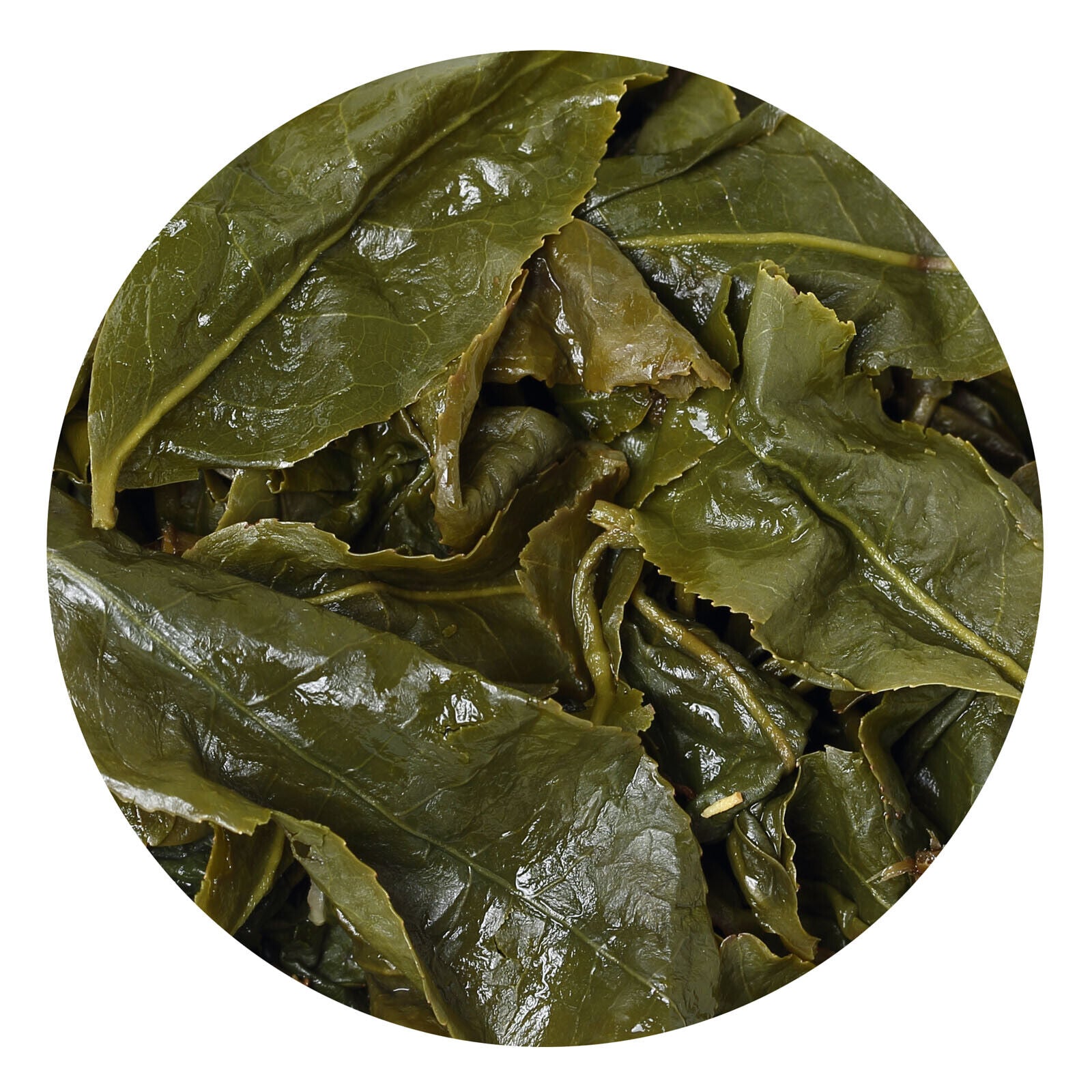 HelloYoung HELLOYOUNG Premium Taiwan Milk Oolong Tea Jinxuan Alishan High Mountain Leaf