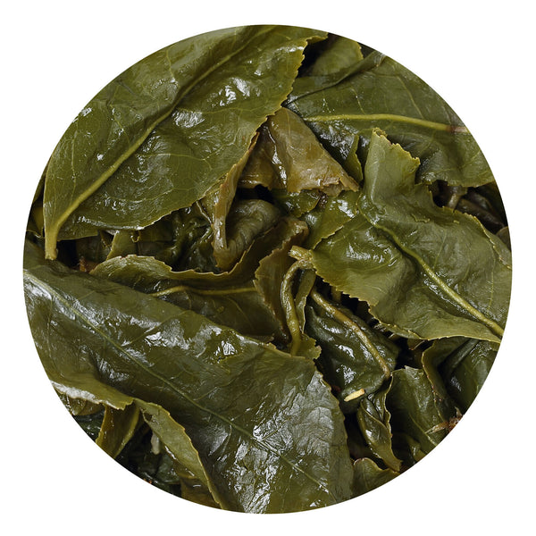 HelloYoung HELLOYOUNG Premium Taiwan Milk Oolong Tea Jinxuan Alishan High Mountain Leaf