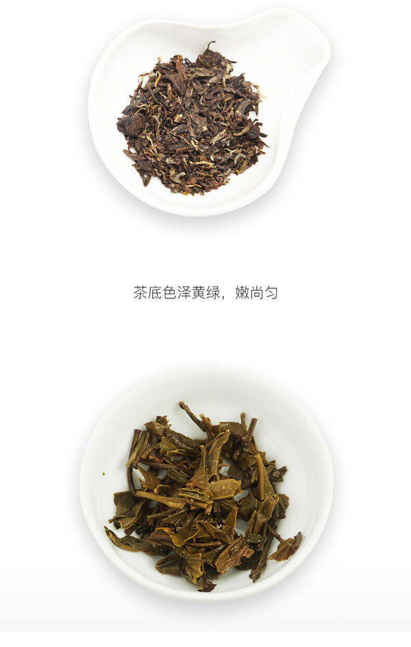 HelloYoung Classic Raw Pu'er Tea Jia Ji TuoCha Menghai TAETEA Dayi Tea Raw Pu-erh 500g