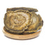 HelloYoung 100% Natural Da Huang Dahuang Radix et Rhizoma Rhei Rhubarb 大黄 Herbal Medicine