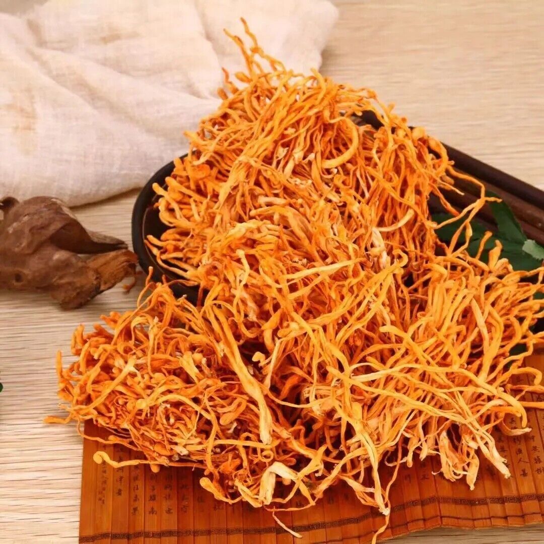 Organic Cordyceps Sinensis 500g Dried Mushroom Chinese Tradition Medicine