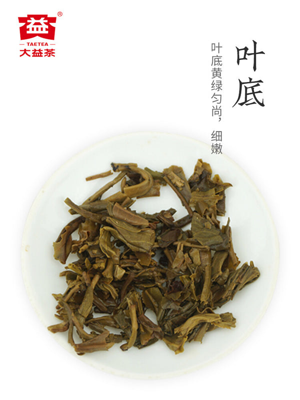 TAETEA Brand Dayi Zheng Pin Xiao Jin Tuo Golden Pu'er Tuo 36g Raw Puer Tuocha