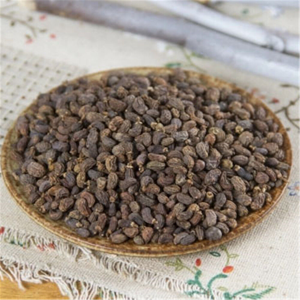 HelloYoung 100% Natural Ligustri lucidi Fructus Nv Zhen Zi 陳子 Chinese Herbal medicine