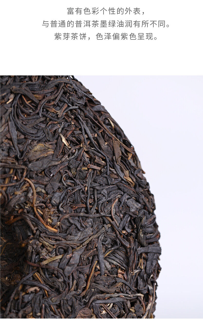 HelloYoung Yunnan Pu'er Tea Purple Bud Haiwan Comrade Puer Raw 357g Gelanghe Old Tree