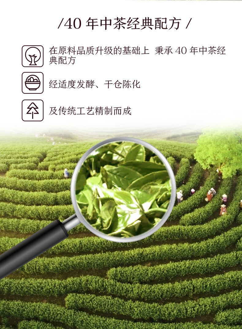 2021 CHINA TEA Puer Raw Puerh Tea 7541 Classic 150g ZhongCha Liushan Tea Boxed