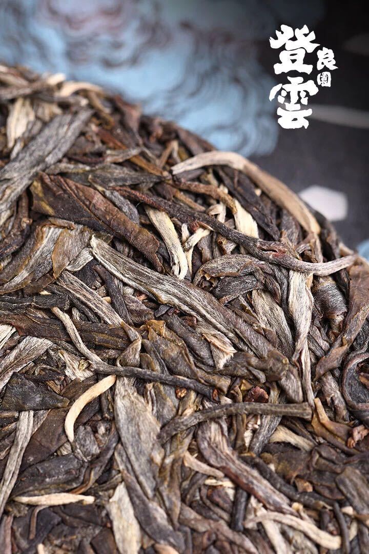 HelloYoung Haiwan Chinese Puer Tea Liang Yuan "Deng Yun" Old Tree Raw Puerh Pu'er 400g