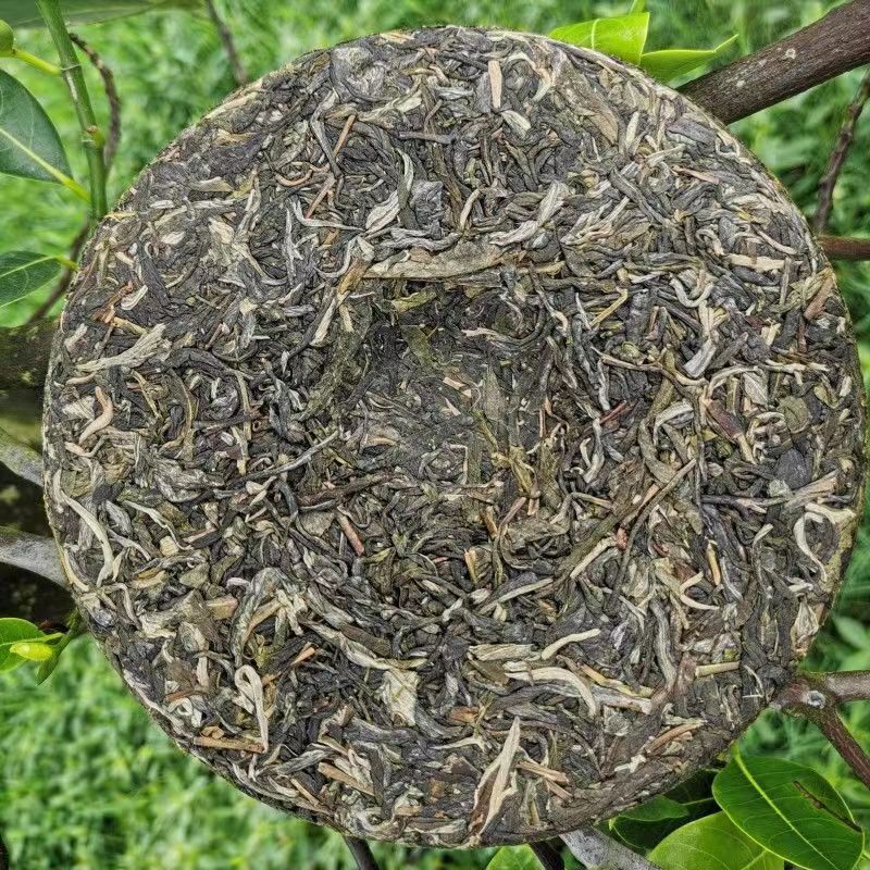 357g Yunnan Qizi Pu-erh Tea Cake Original Forest Puerh Sheng Tea Pu'er Green Tea
