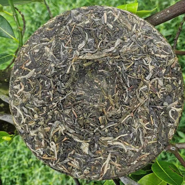 357g Yunnan Qizi Pu-erh Tea Cake Original Forest Puerh Sheng Tea Pu'er Green Tea